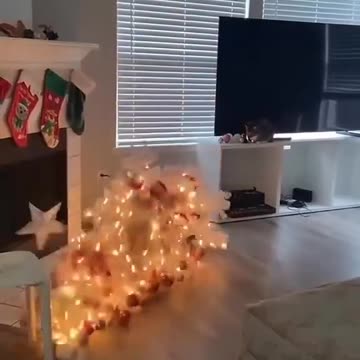 highlights everyone followers