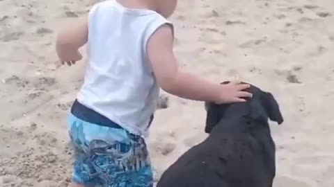 Dog supporting his best friend in his first steps.. 🙏