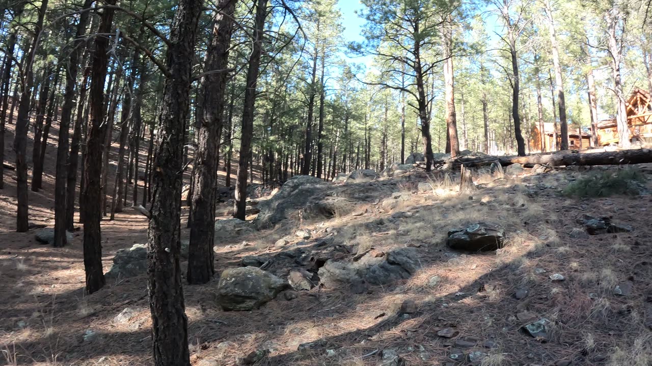 A Winter Walk - Just a relaxing vacation walk in Flagstaff...