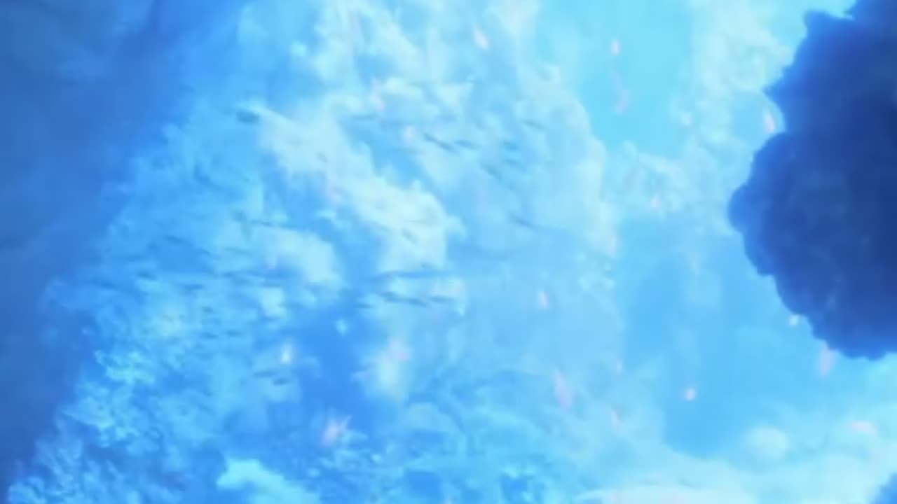 ¿El MISTERIO del BLOOP fue el SONIDO de un MONSTRUO MARINO? 🐙 | Secretos del océano