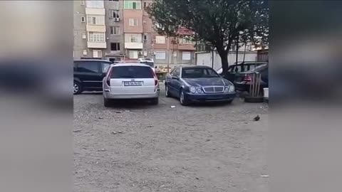 Funny Pet Behavior 😂 Funniest Cats and Dogs Compilation 2025!