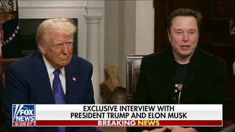 Elon Musk calls out Democrats panicking about DOGE