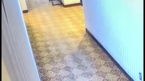 demon chases scared girl