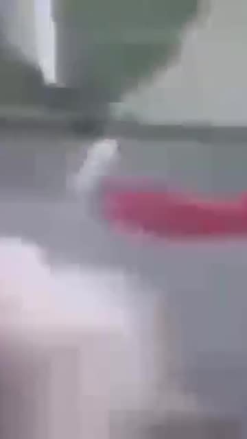 Two fat bitches fighting over food, one gets stripped down (TW: dogshit quality)