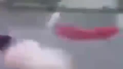 Two fat bitches fighting over food, one gets stripped down (TW: dogshit quality)