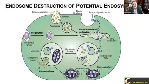 ITU (AI FOR GOOD) Engineering synthetic organelles and their communication networks to control cell fates