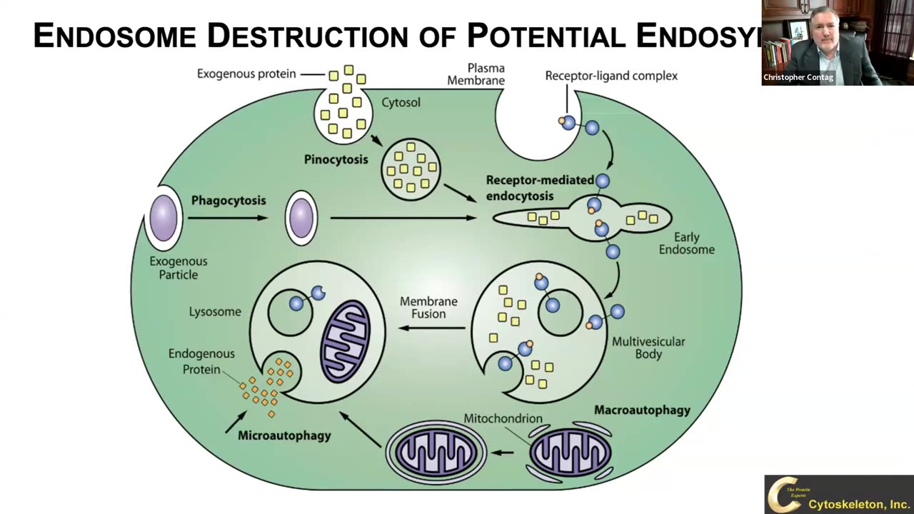 ITU (AI FOR GOOD) Engineering synthetic organelles and their communication networks to control cell fates