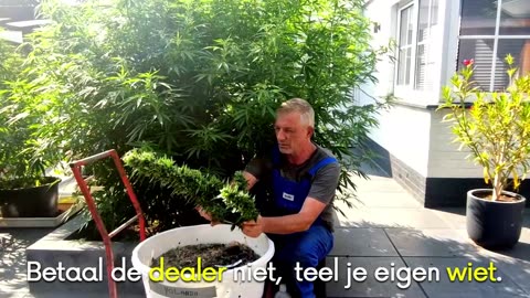 Geschiedenis van de Mediwietkliniek.