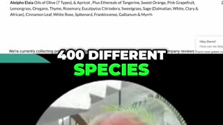 Orangutan's Diet Vs. Yours: Shocking Food Variety!