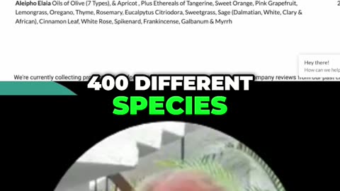 Orangutan's Diet Vs. Yours: Shocking Food Variety!