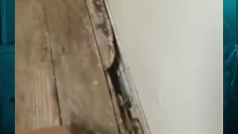 😨 She won't open that again #ghostlytoksa #demon #creepytok #horror #c... | TheHauntingHour