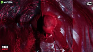 Blackwater Holylight - Not Here Not Gone (2026)