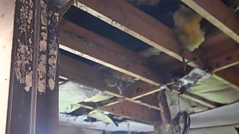 Flash back video- Crack heads burnt clients hou