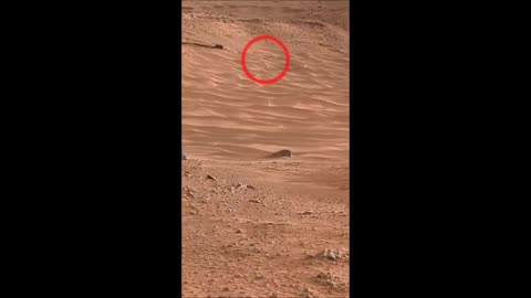 Un canon a été trouvé sur Mars ? - Sol 703 : Caméra Mast