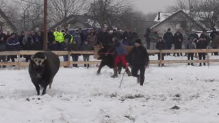 Ljuban od Mesnice Blaško vs Mungos od Karića Vitez 2024