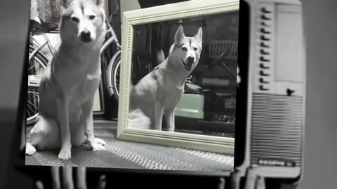 😨👻 Creepy Paranormal Activity in Broad Daylight! | TheHauntingHour