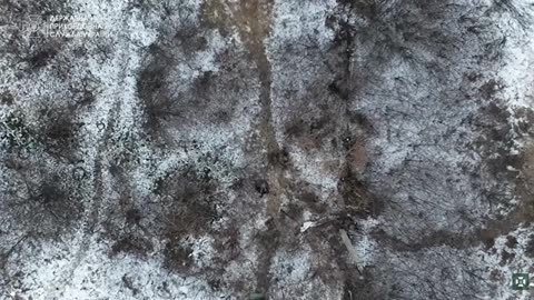 Propaganda from Ukraine