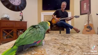 😂🎶 It's Rock'n'Roll Baby! | FunFM