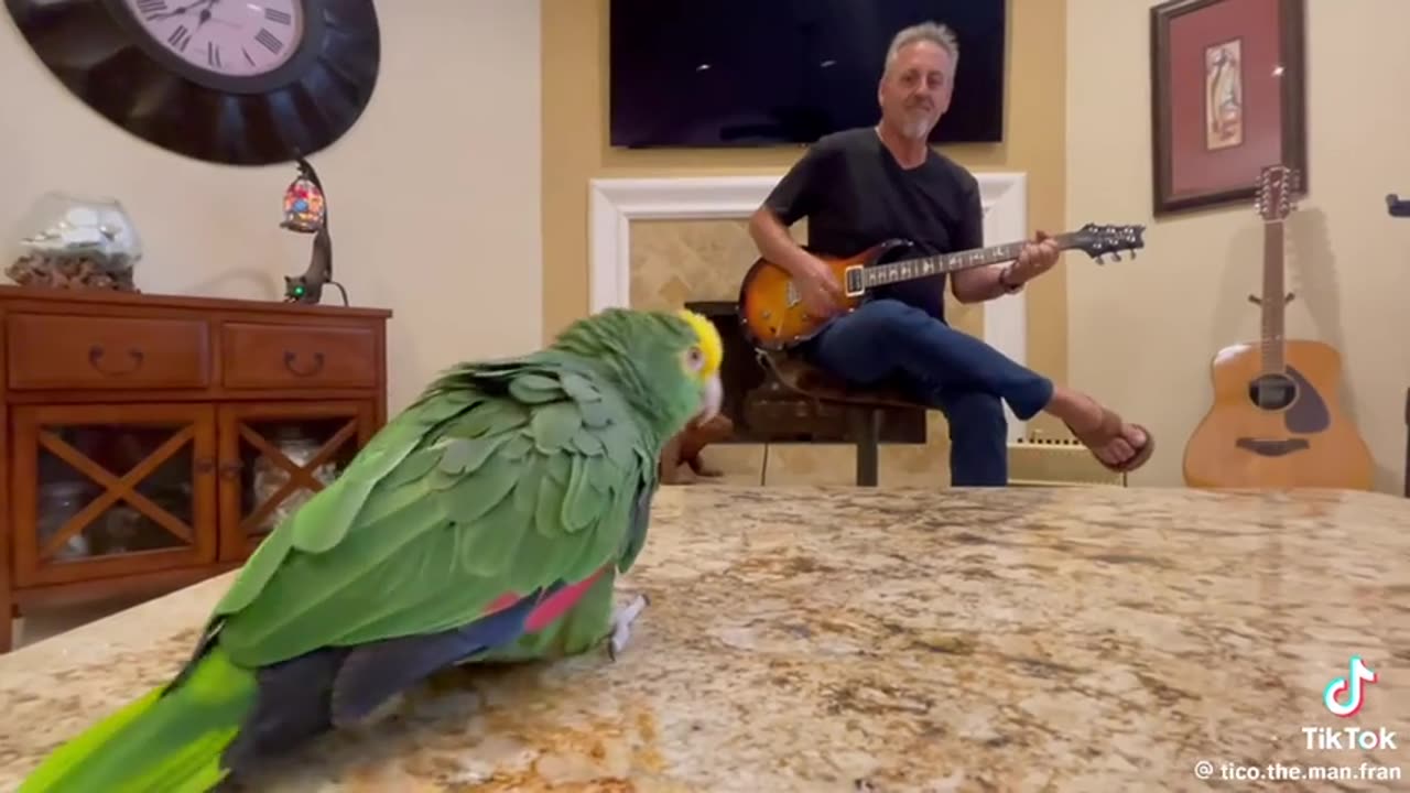 😂🎶 It's Rock'n'Roll Baby! | FunFM