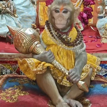 Haumaan Sena Visited in Temple (India)