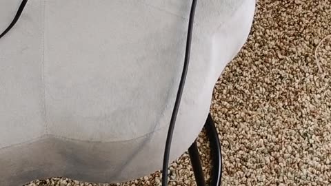 Liberals ripped up American flag because it offends them