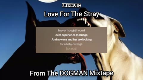 Love For The Stray | (Song 7 of the DOGMAN Mixtape)