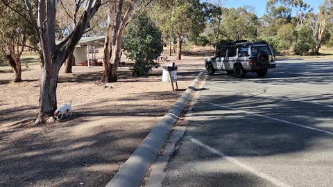 The Coach Road-Rest Area Vic