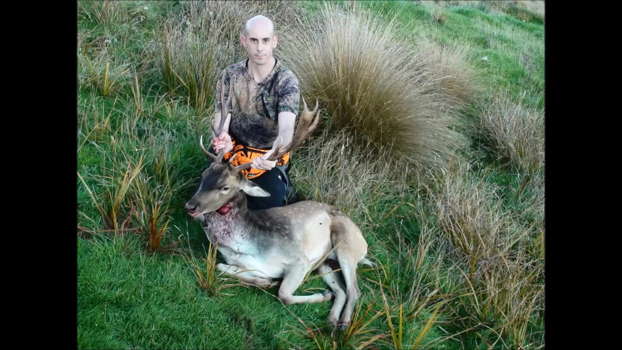 South island hunting trip