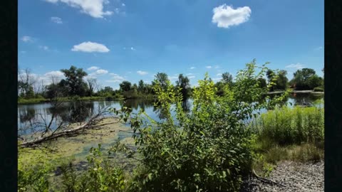 Prophecy: Jamaica and USA disasters