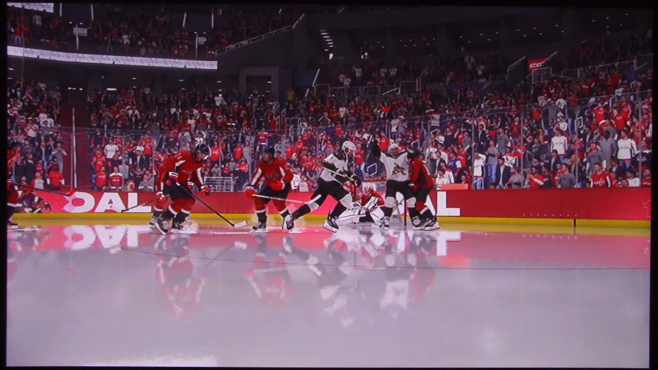 NHL: Arizona vs Washington (Riker scores goal plays trombone)