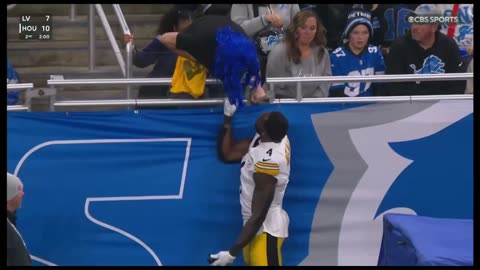 Steelers Wide Receiver Throws a Punch at a Lions Fan