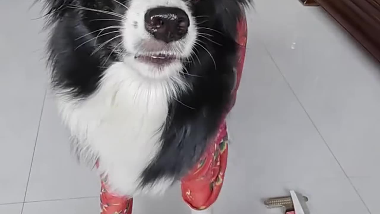 Look at him
