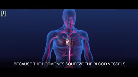 never get sick again - dr. bruce lipton