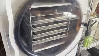 Freeze Dryer & Shipping Container Update