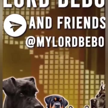 🏴󠁧󠁢󠁥󠁮󠁧󠁿Weve officially taken control of the country. England is FINISHED — Muslim migrant