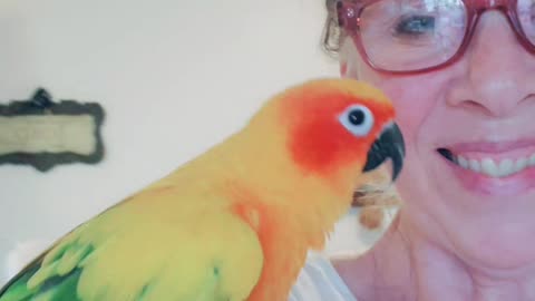 Emotional support animals are great 👍