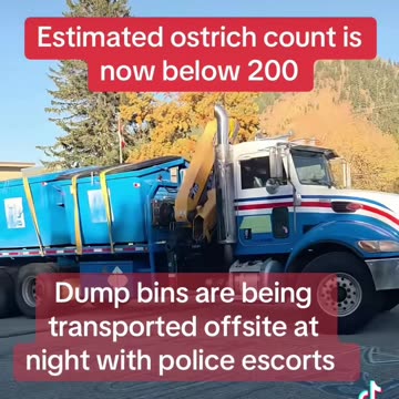 📌 Section: Evidence of Disappearance & Night Operations