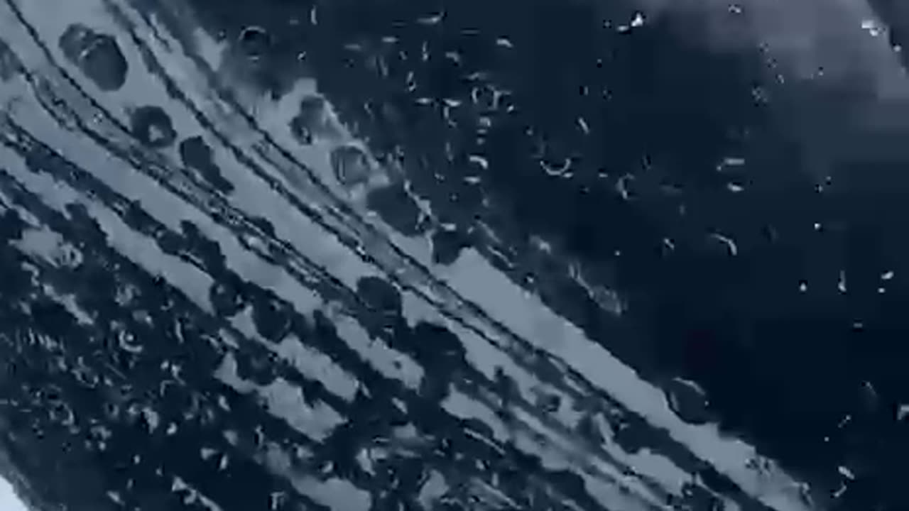 Humpback Whale Watching in the Colombian Pacific