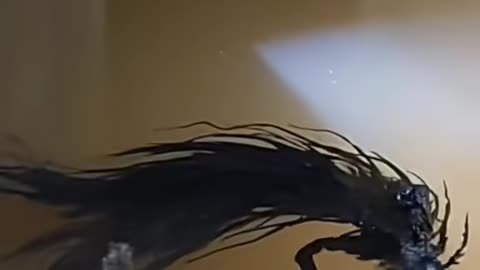 💀⚠️ Poltergeist Chaos Erupts in Haunted House | TheHauntingHour