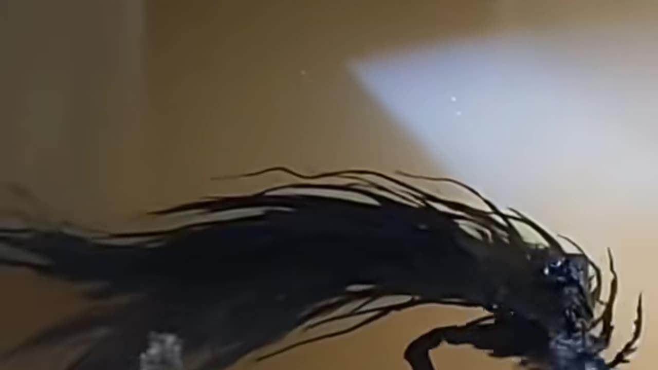 💀⚠️ Poltergeist Chaos Erupts in Haunted House | TheHauntingHour