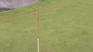 Amazing Golf Shot