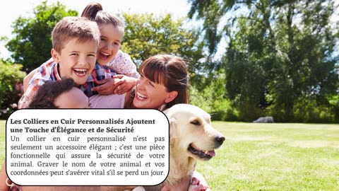 Pourquoi Chaque Parent d'Animal de Compagnie a Besoin d'un