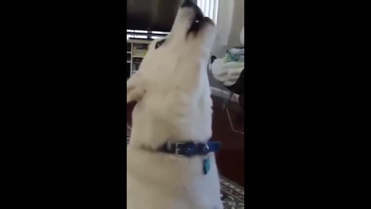 fren news17 - THE AMERICAN DREAM 9