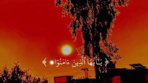 Jaza kallah ♥️✨