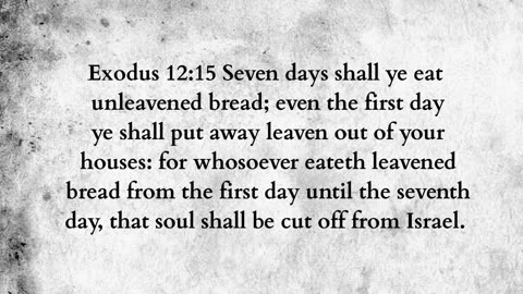 Martus Ministr -466- Burnt bread