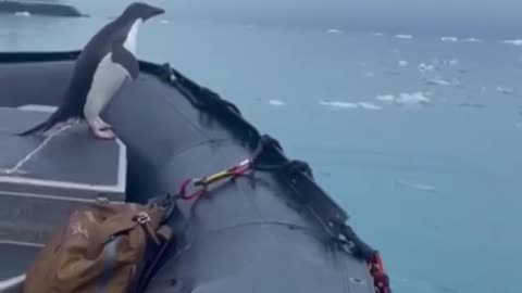 It’s damn freezing in there 😂