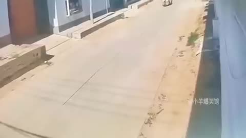 funny moments with people got bad luck in China | funny video | crazy clips