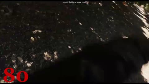 V/H/S Beyond (2024) KILL COUNT - S01