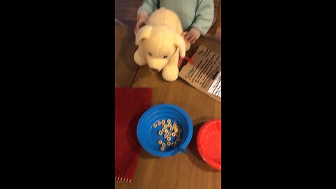 Doggy Wamts Cereal