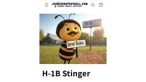 H-1B Stinger